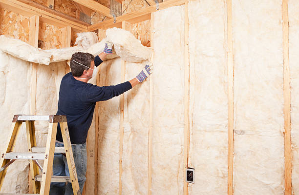 Best Soundproof Insulation  in Dickinson, ND